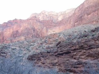 IMG_20130314_162007.jpg